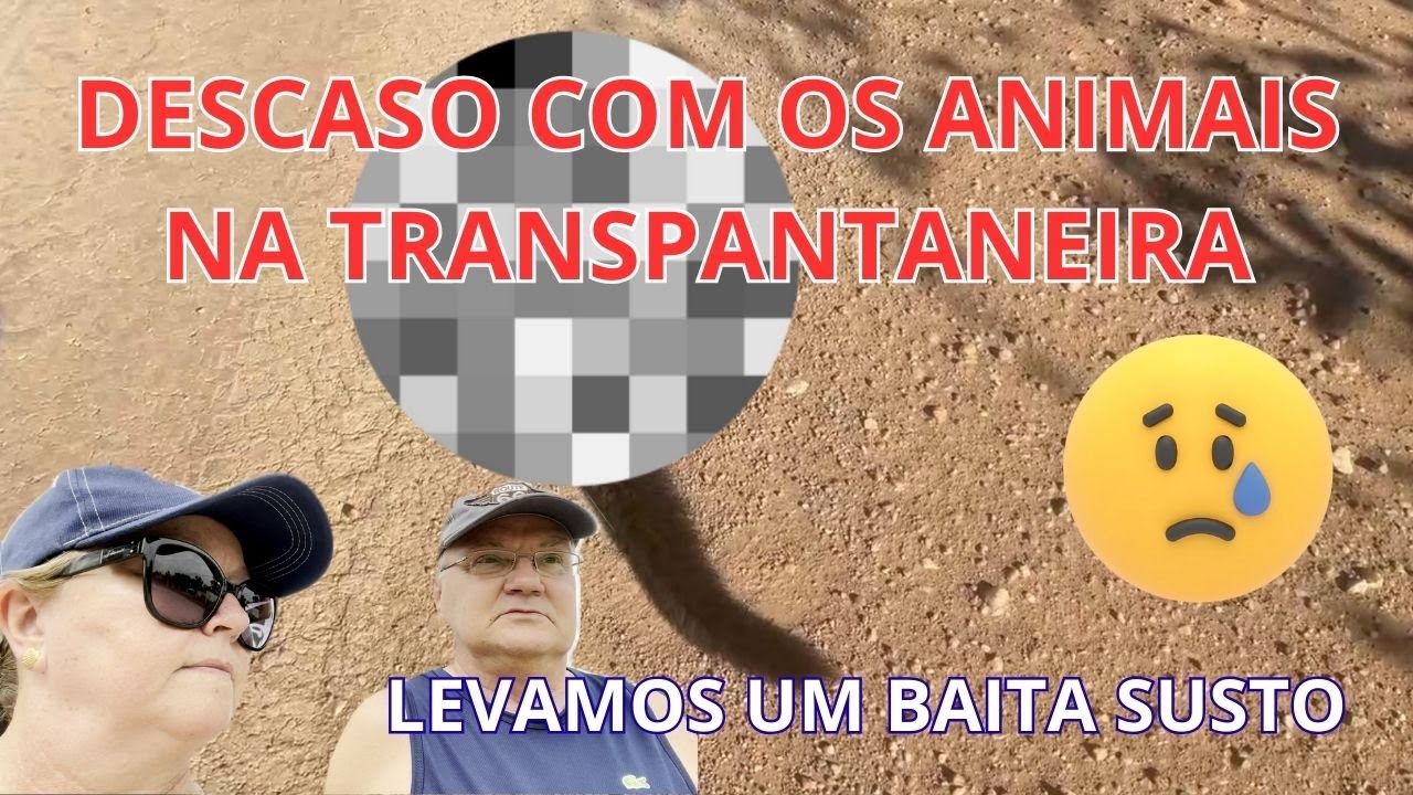 Ep.  9 -  IMPRUDÊNCIA e DESCASO no PANTANAL