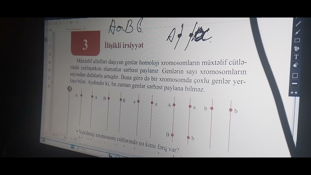 Dihibrid &ccedil;arpazlaşama/ İlişikli irsiyyət m&ouml;vzu izahı.2-ci HİSSƏ
