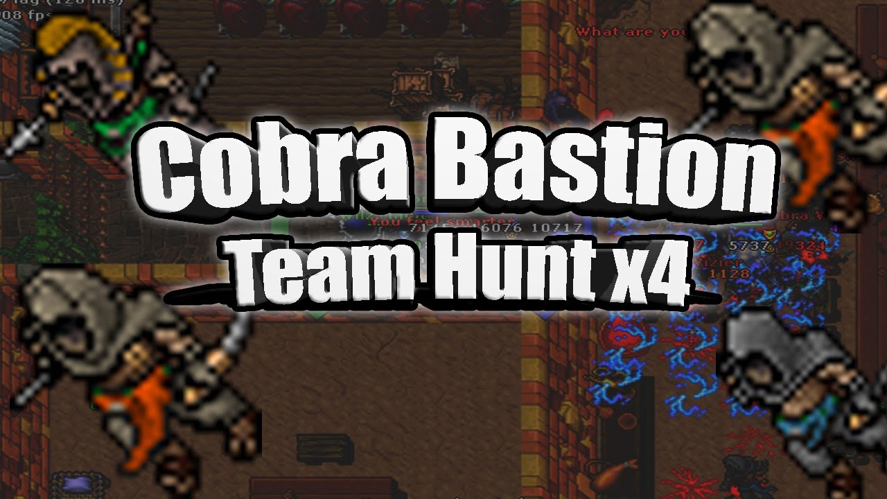 BEST PLACES FOR TEAM HUNT X4  COBRA BASTION // TIBIA