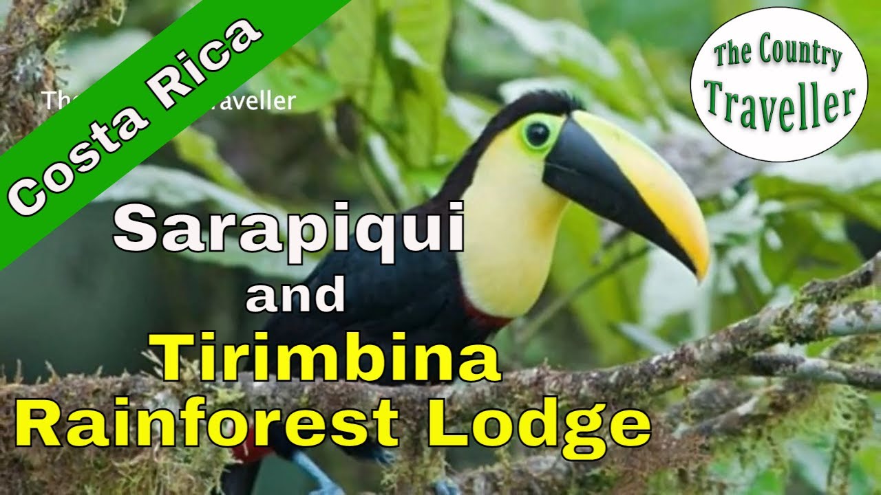 Best rainforest lodges in Costa Rica - Tirimbina Rainforest Lodge in Sarapiqui #thecountrytraveller