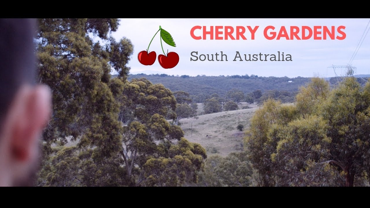 Cherry Gardens - South Australia - BMPCC 4K