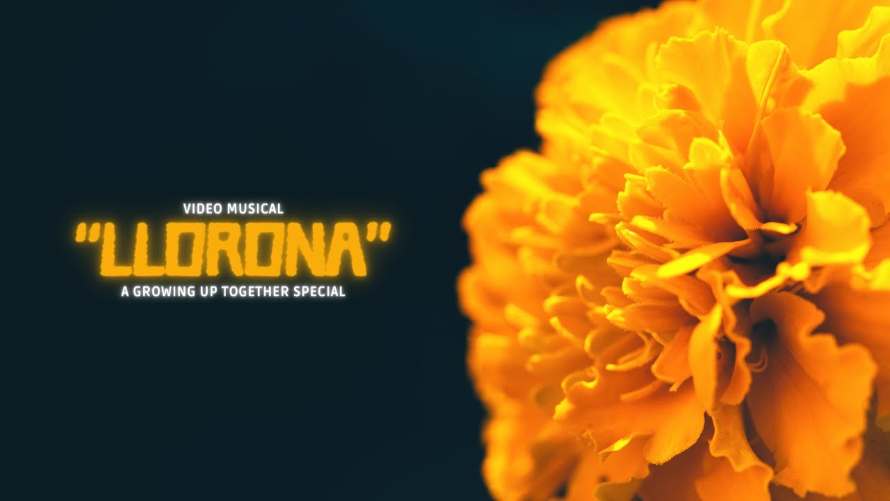 Canción 