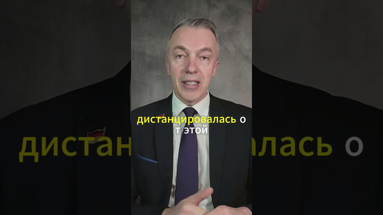 Скандал в Германии: AfD и депутаты CDU вместе поддержали гражданские патрули