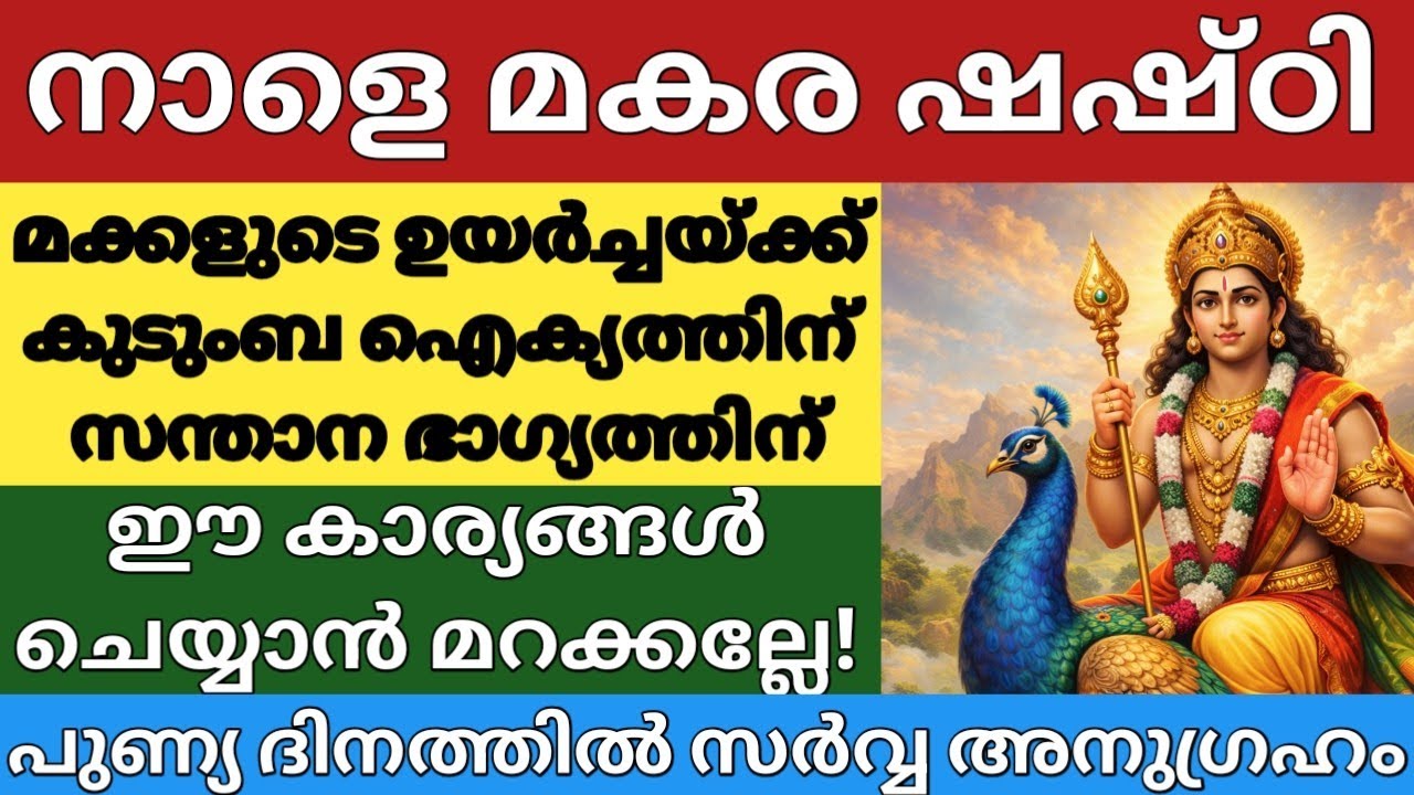 നാളെ മകര ഷഷ്ഠി,അമ്മമാർ ഇത് തീർച്ചയായും അറിയണം|ഈ 5 കാര്യങ്ങൾ ചെയ്താൽ അത്ഭുതം!