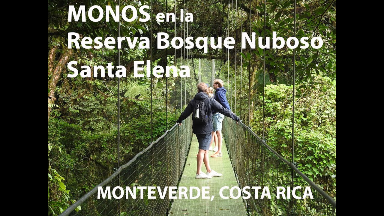 Bosque Nuboso Santa Elena, Monteverde