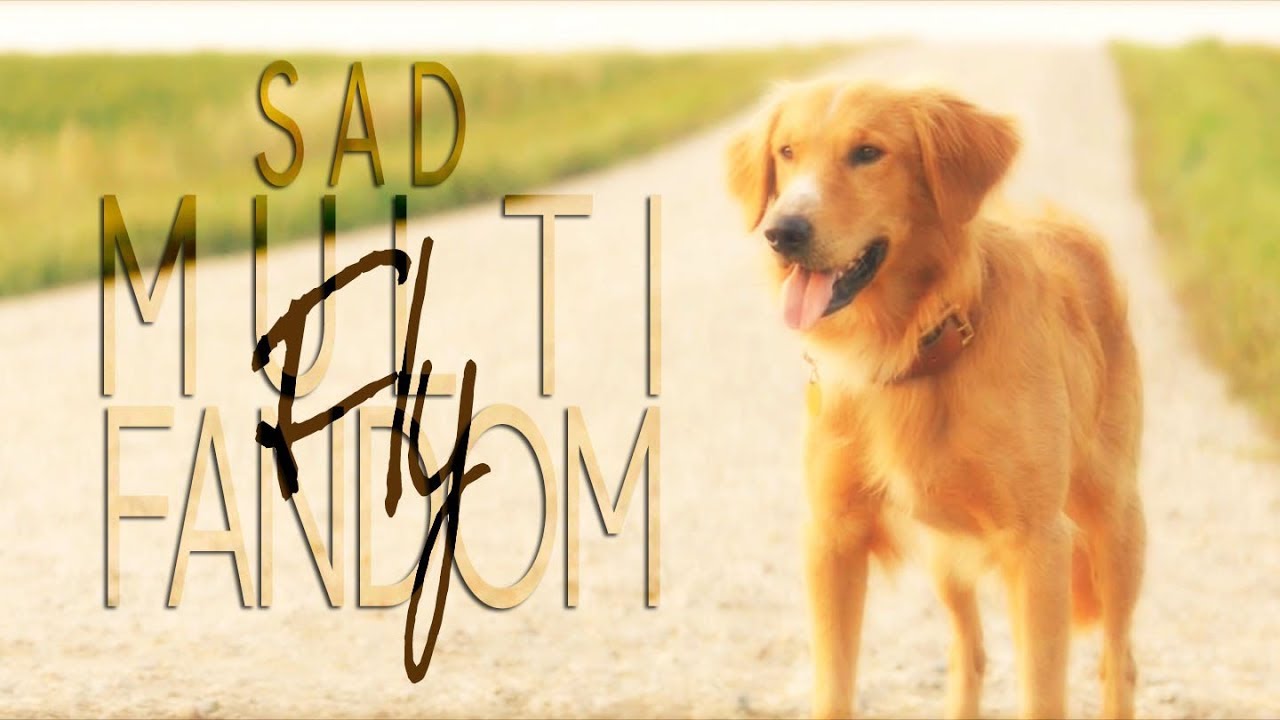 Sad Multifandom | Fly