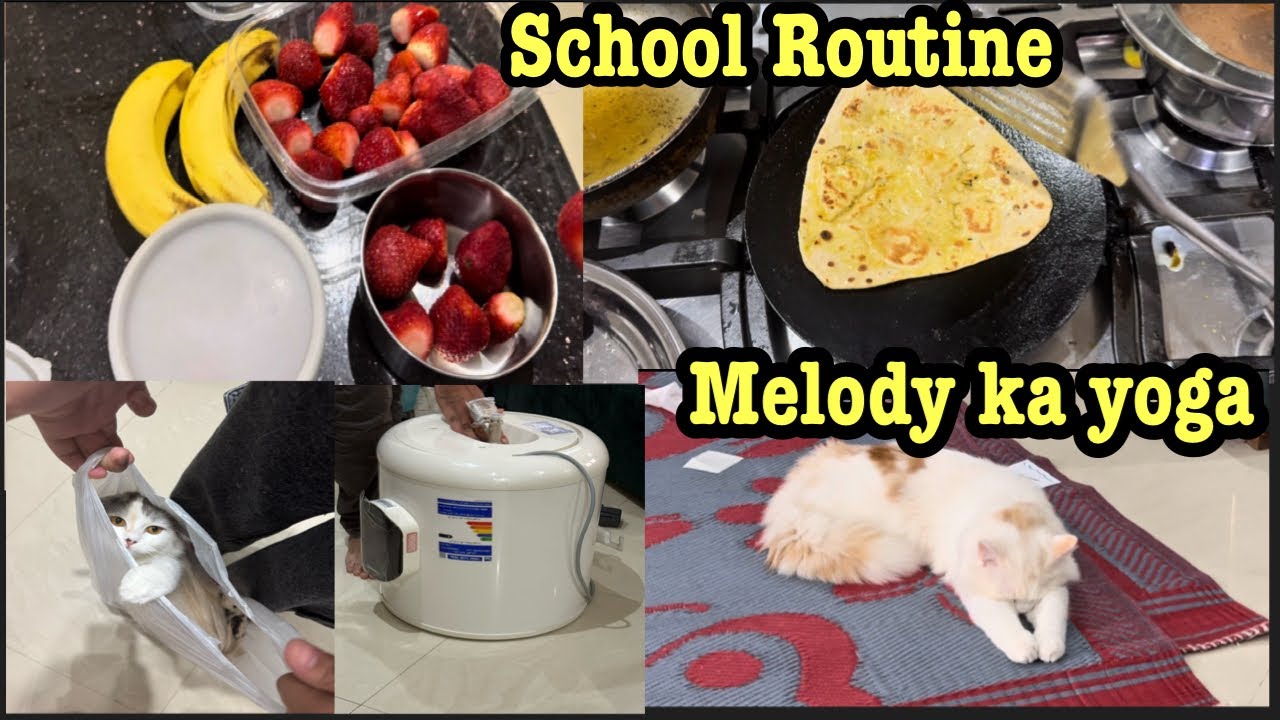 School Routin 6:30 A.M.,Chiken Roast Full Racipie,