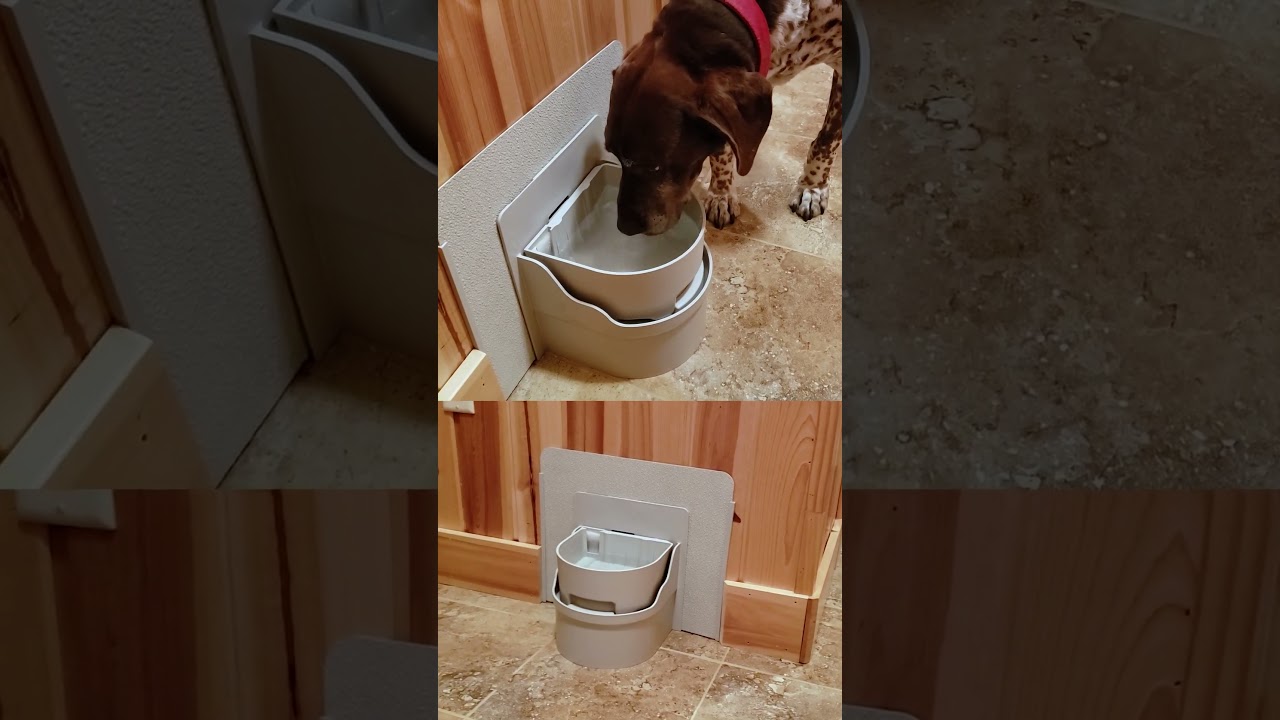 Perpetual Well, the World's First Automatic, Self-Filling & Self-Draining Pet Water Bowl #pets #dog