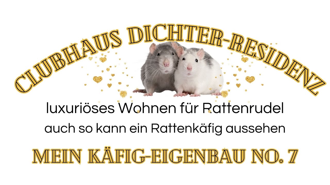 Rattenk&auml;fig Eigenbau - Rattenhaltung - K&auml;figbau - humorvolle Vorstellung meines aktuellen Projekts