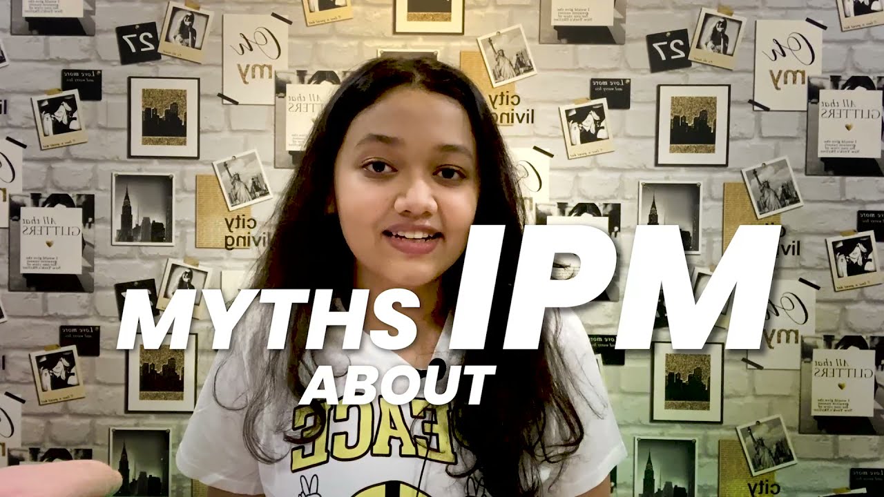11 Myths About IPMAT Debunked by an IIM Rohtak IPM Student