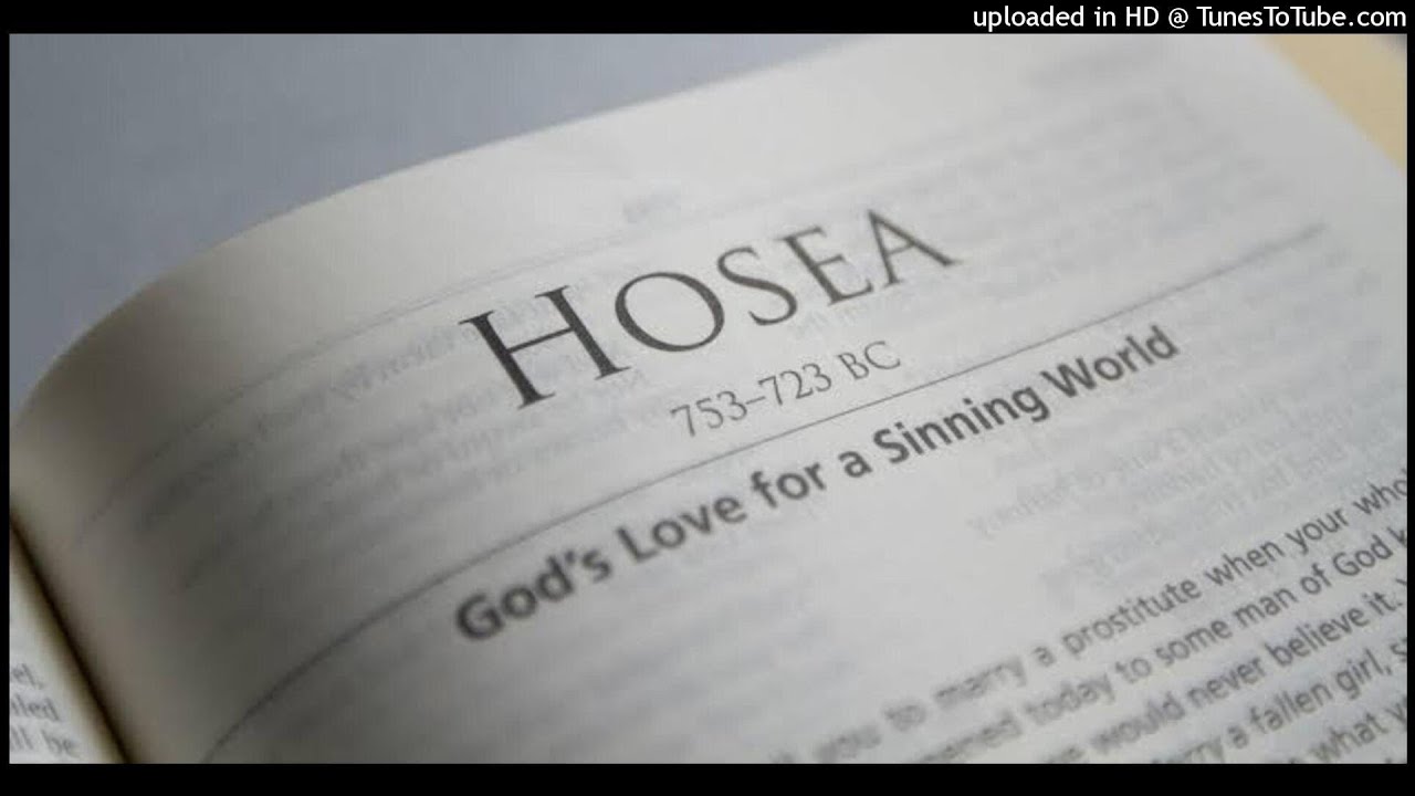 Torah | Hosea Hebrew Recitation | תורה | דקלום עברי הושע