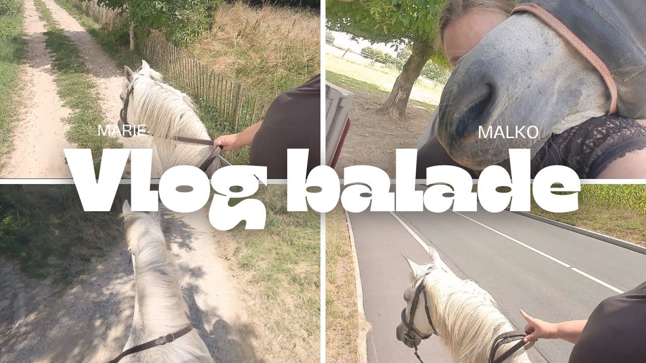 On va balader ? (Vlog balade avec Malko)