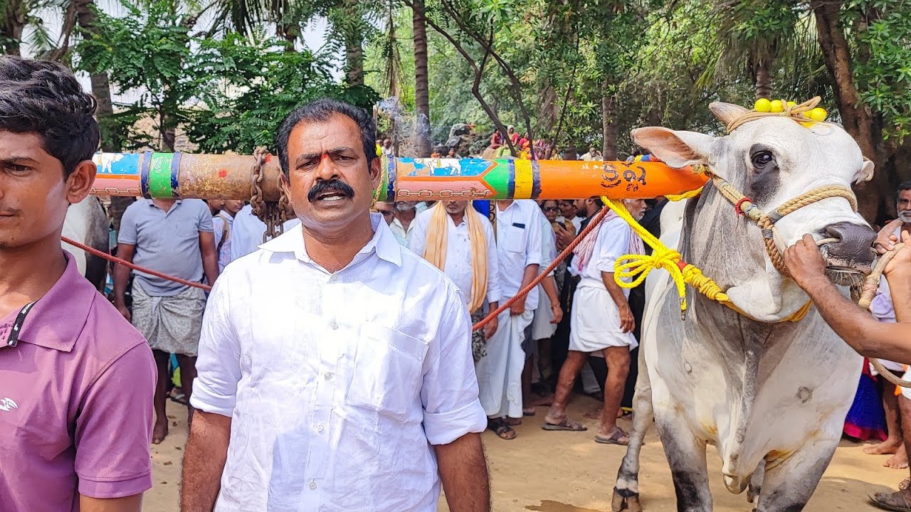 దొడ్ల వాగు సీనియర్స్ విభాగంలో 12వ జత PSKY  బుల్స్