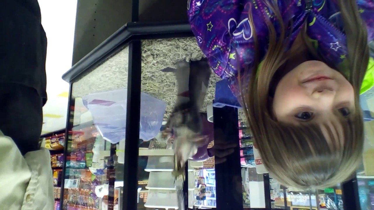 maddie at petco2 1