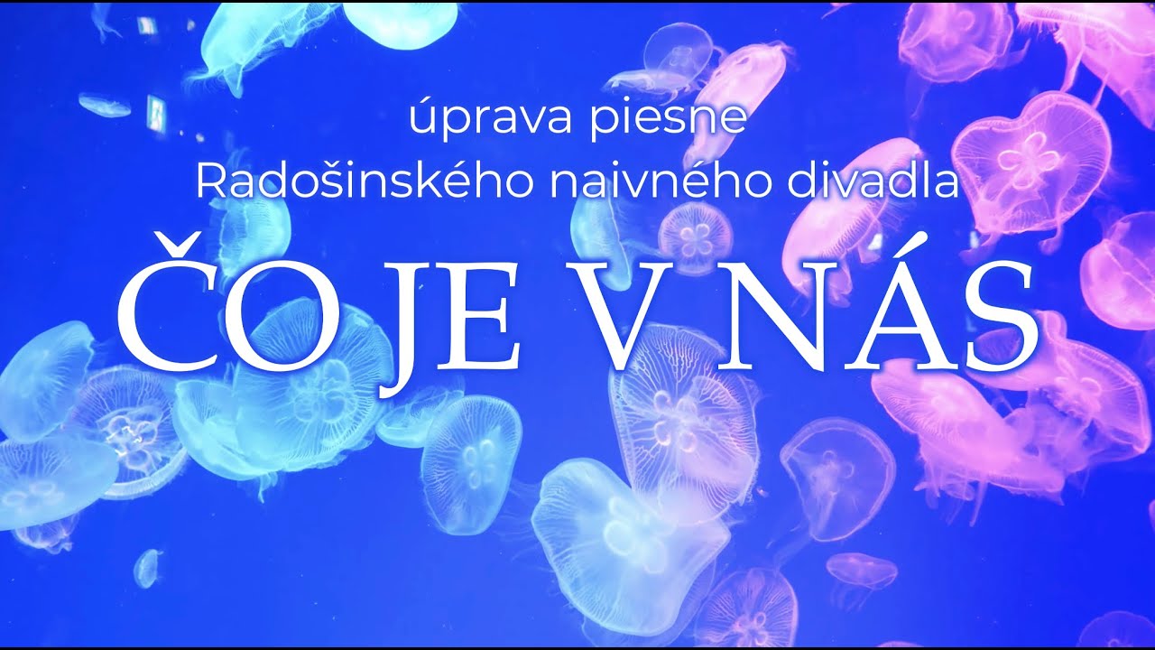 Čo je v nás - úprava piesne z RND