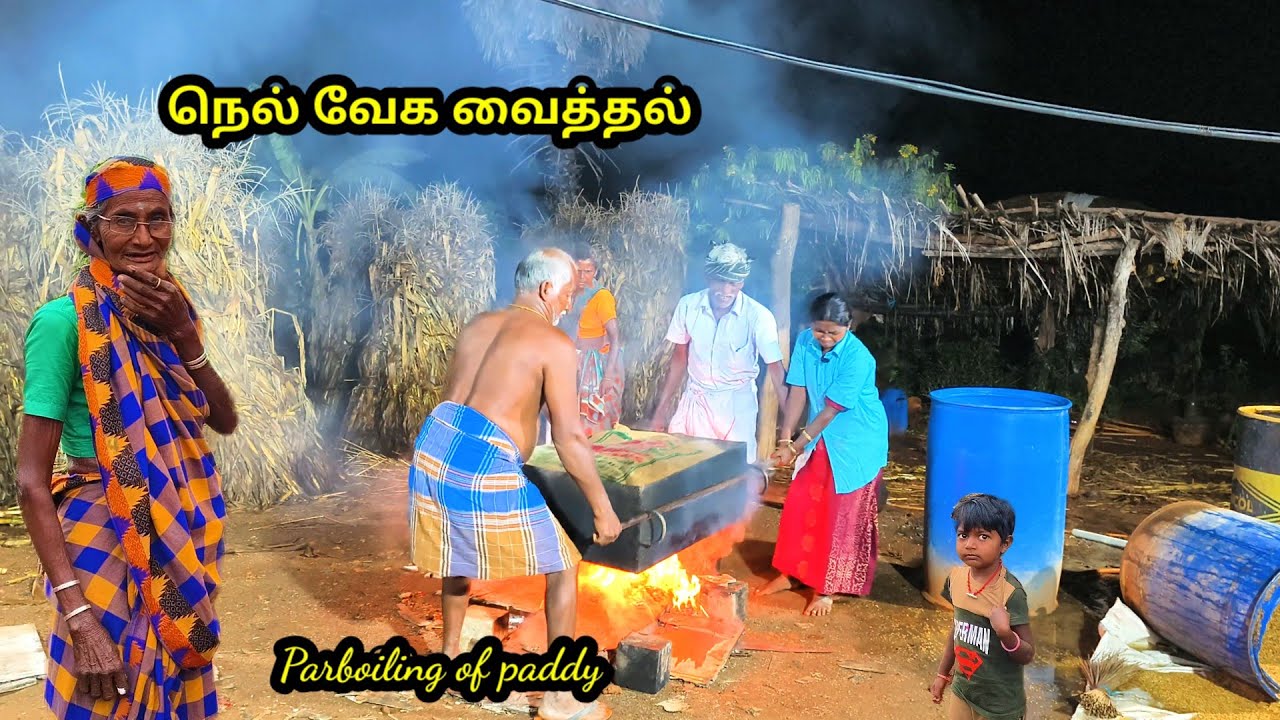 நம்ம வீட்டில் அரிசி தீர்ந்து விட்டது நெல் வேக வைத்து அரிசி அரைக்கலாம் l #paddy l #rice #Rice l patti