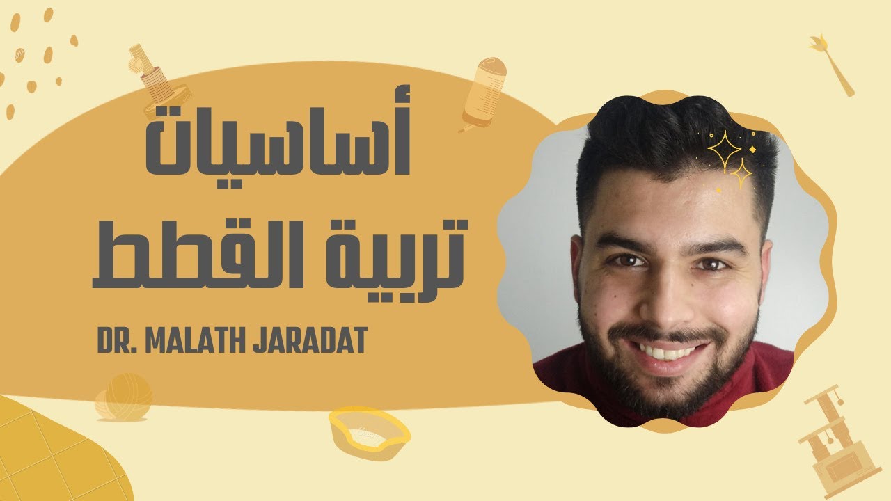 اساسيات تربية القطط  و كل متطلبات العناية بالقطط