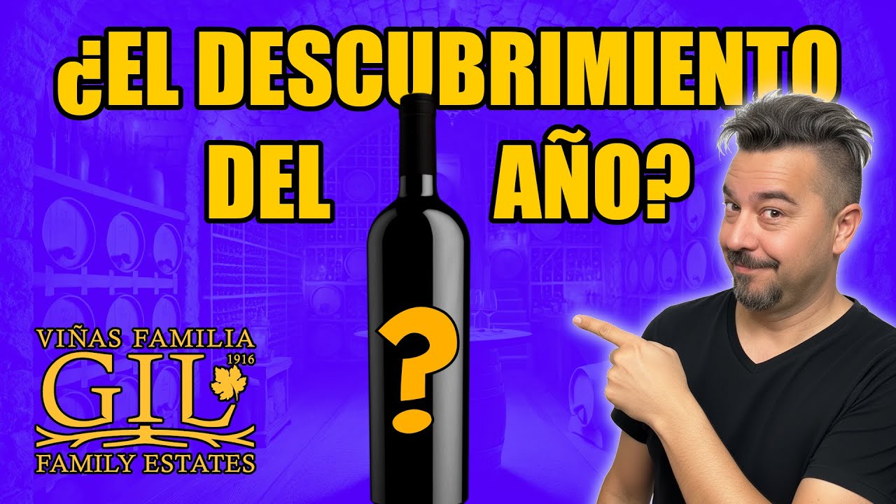 ¿El MEJOR VINO calidad precio del año? Descúbrelo aquí 🍇