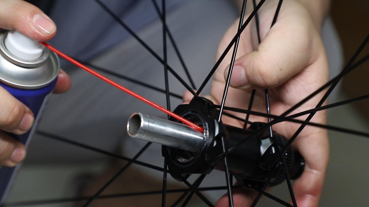 LightCarbon Bicycle Hub Maintenance Guide -Ratchet System Freehub
