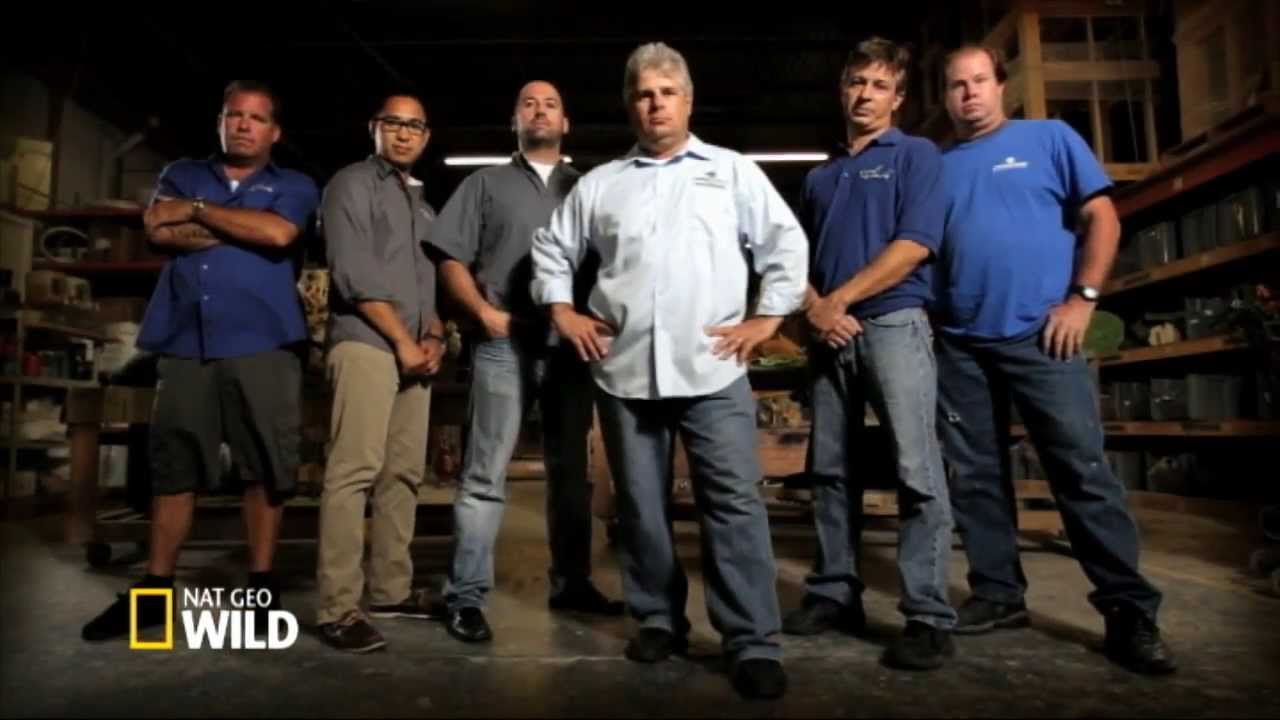 Official Trailer | Fish Tank Kings | National Geographic Wild UK