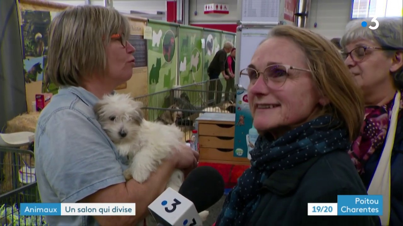 Salon du chiot - Poitiers