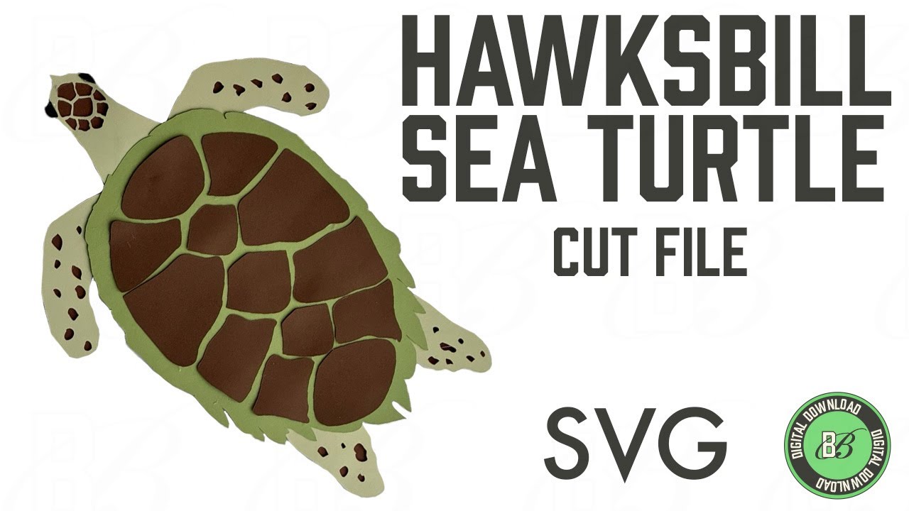 Hawksbill Sea Turtle SVG Assembly Tutorial
