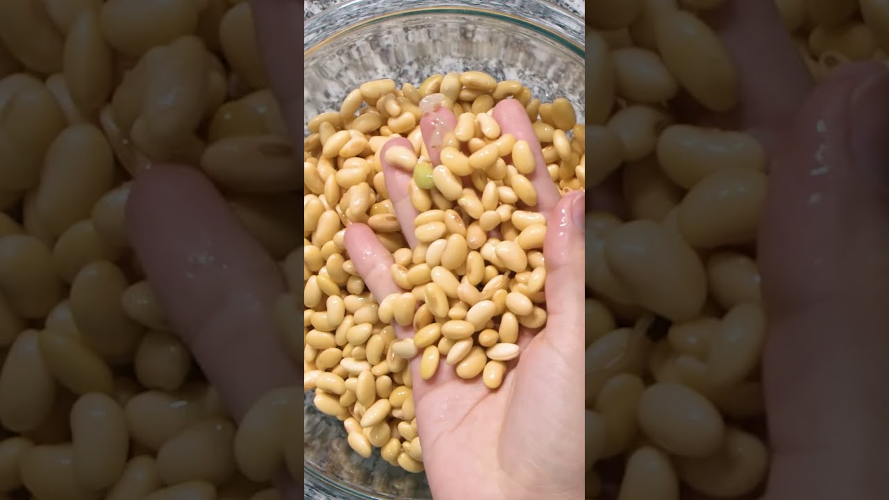 🥛 C&oacute;mo Hacer Leche de Soya Casera (paso a paso) 😋