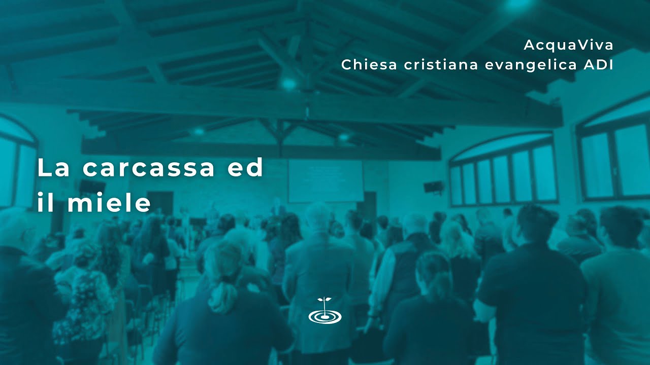 La carcassa ed il miele - Giudici 14:1-9