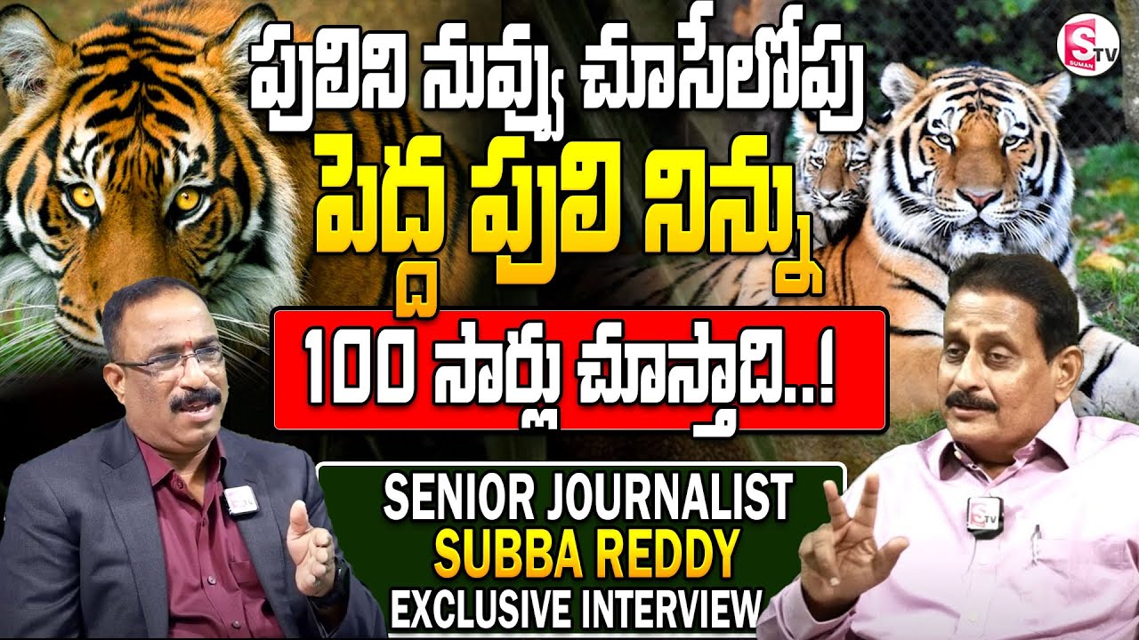 Sr Journalist Subba Reddy about Seshachalam Forest Tiger | Nagaraju Interviews | SumanTV information