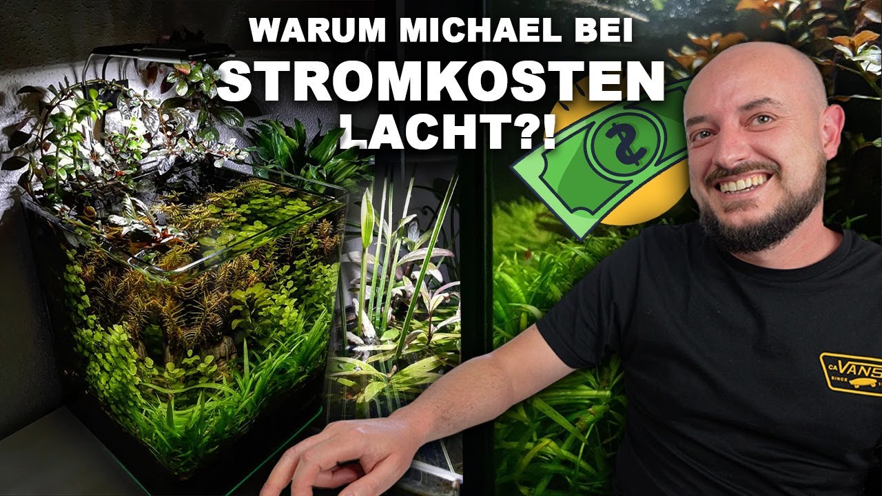 AQUARIUM ohne LAUFENDE KOSTEN?! ... Das ist die Walstad-Methode