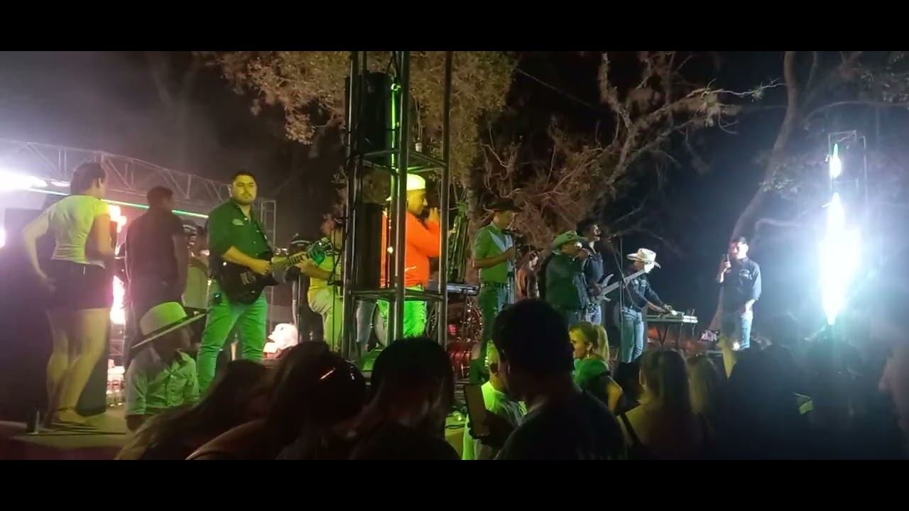 Agrupación San Salvador Fiesta de la Tradición Laureleña  Edición N: 36
