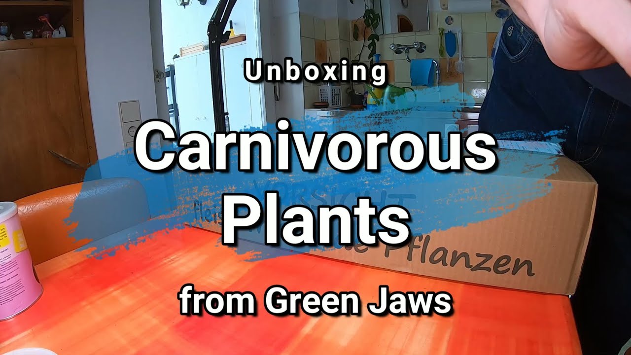 New Sundews and Pinguicula from 