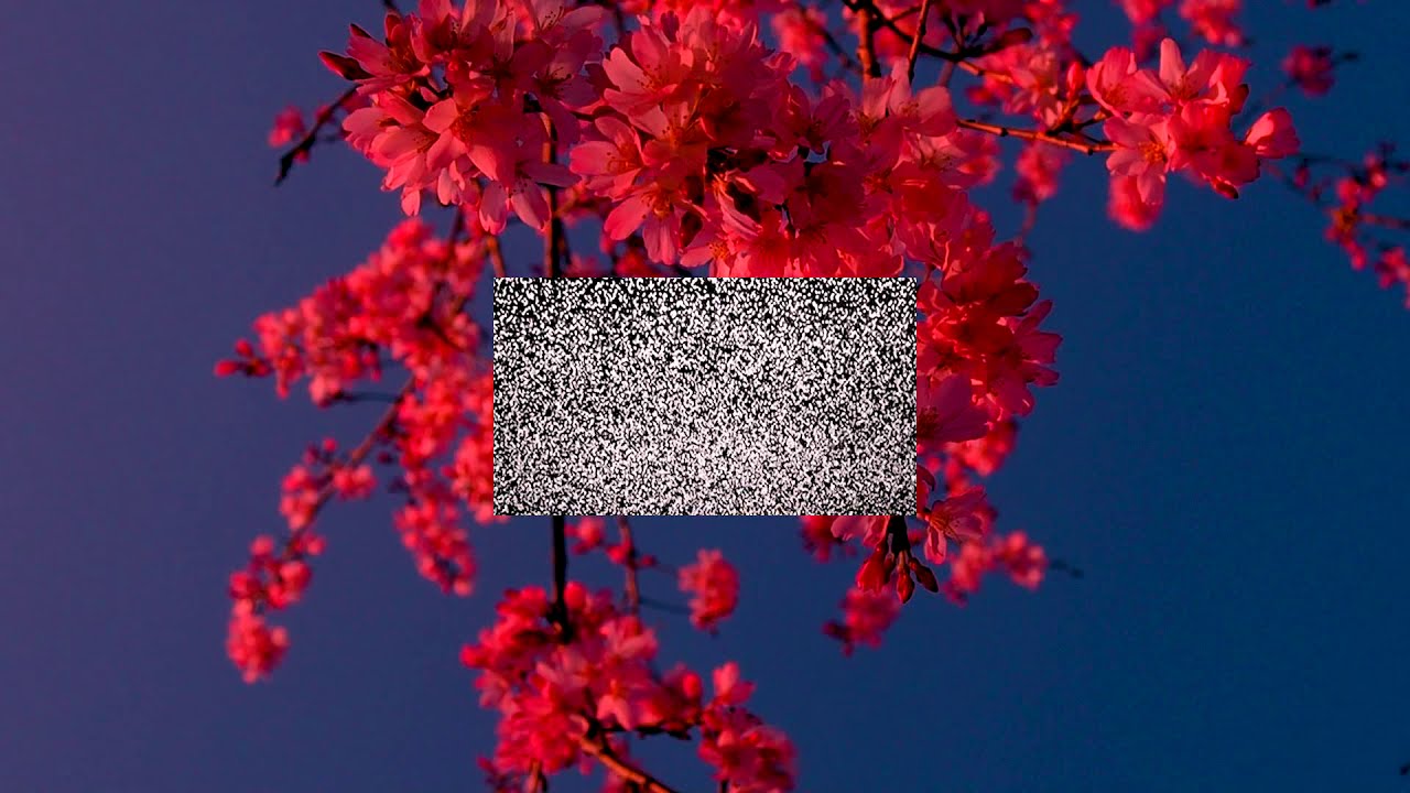 npsych M.F.K - Swweet Cup Butterdream