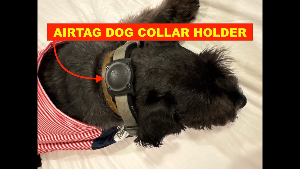 APPLE AIRTAG FOR PETS DOGS or CATS - AirTag Dog Collar Holder