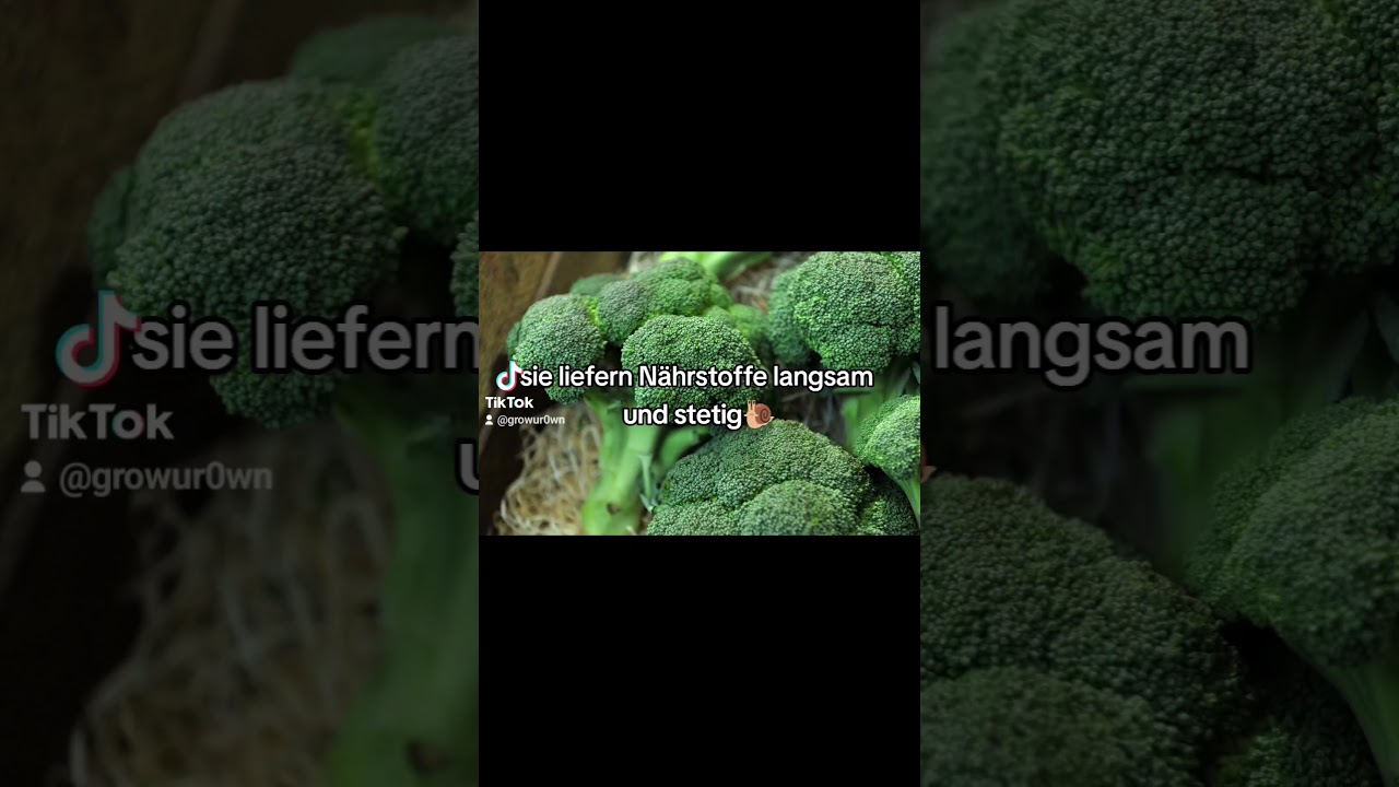 #420 #legalisierung #anbau #eigenanbau #pflanzen #bl&uuml;ten #bubatz #legal