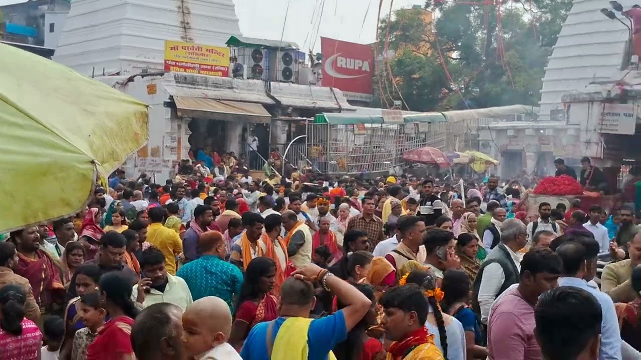 सरस्वती पूजा के पहले उमड़ा जनसैलाब देवघर मंदिर में देखिए। #bolbam #deoghar #babadhaam 