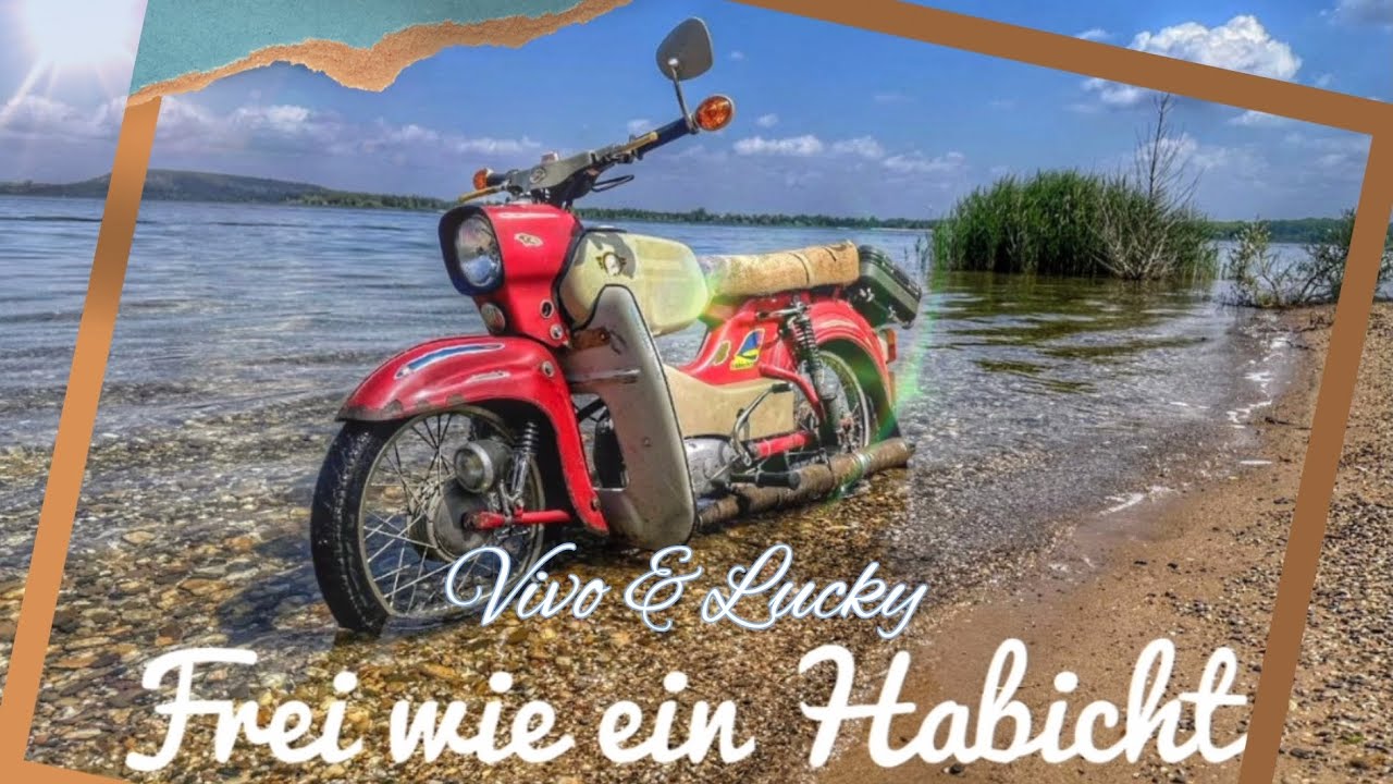 Vivo & Lucky - Frei wie ein Habicht
