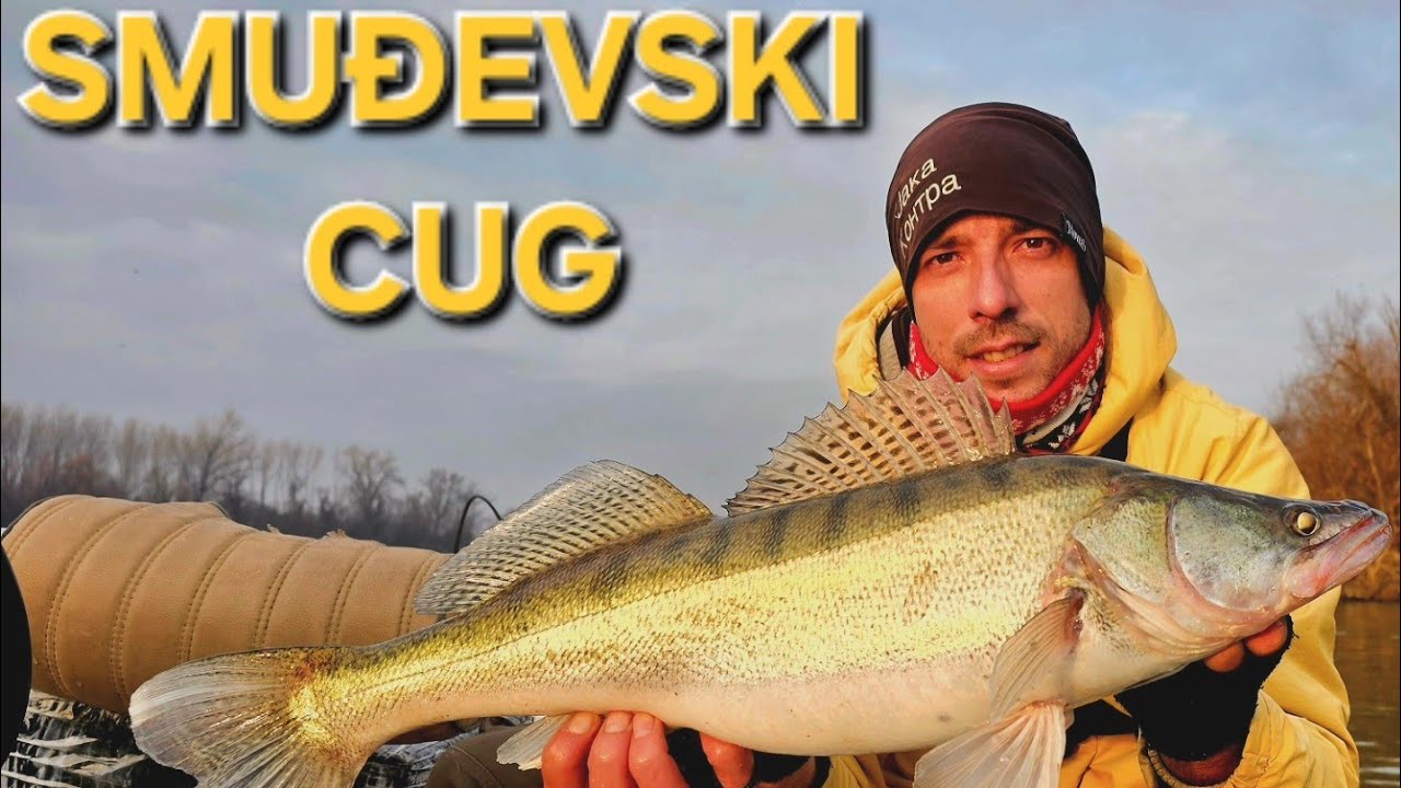 U POTRAZI ZA SMUĐEM