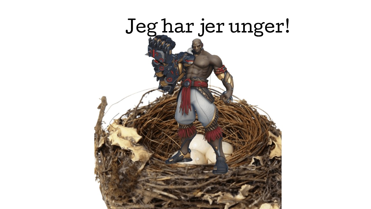 Blev fuglemor som tank i OW?!