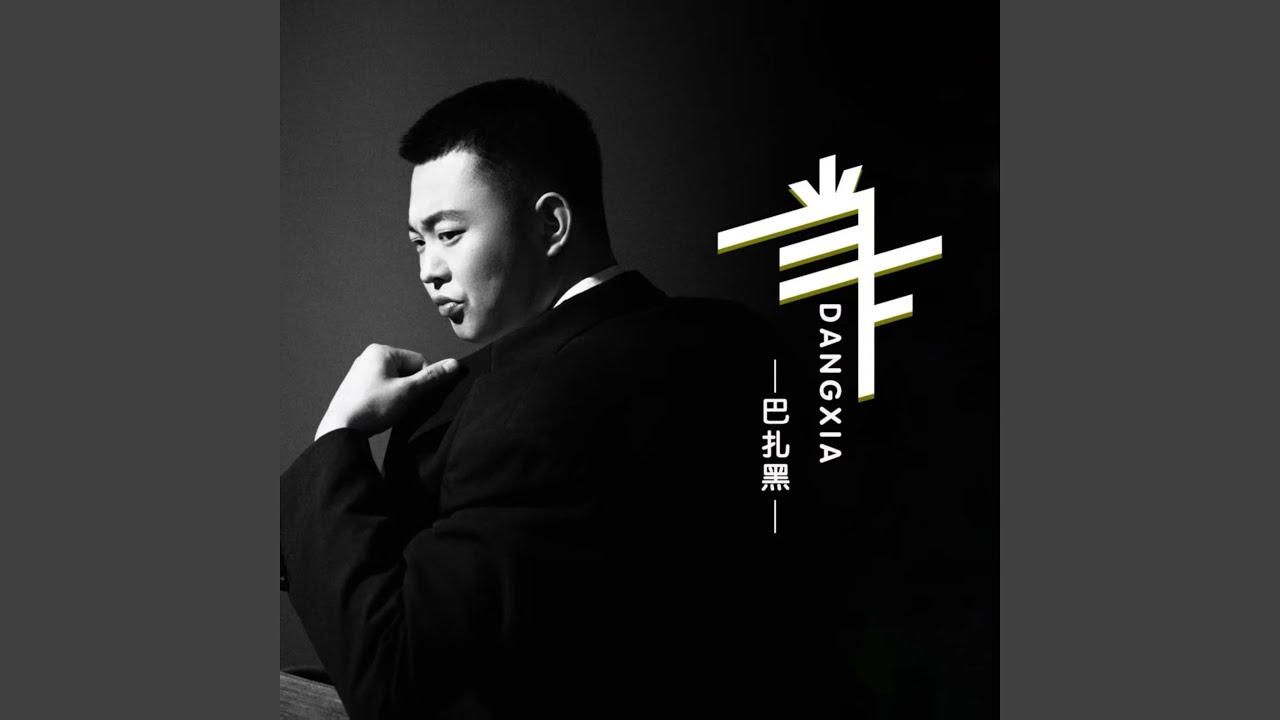 当下 (DJ 阿树版)
