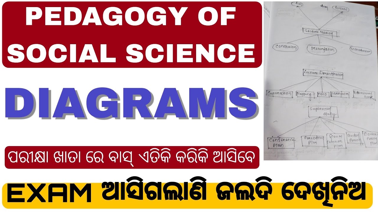 Pedagogy Of Social Science Most Important Selection Questions|| Watch Before Going to Exam😊💯