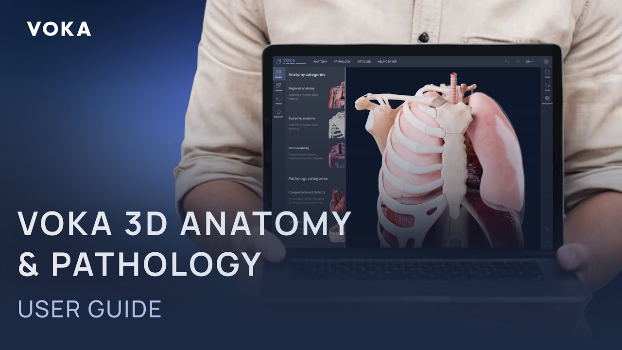 VOKA 3D Anatomy & Pathology User Guide | Improve the way you study anatomy