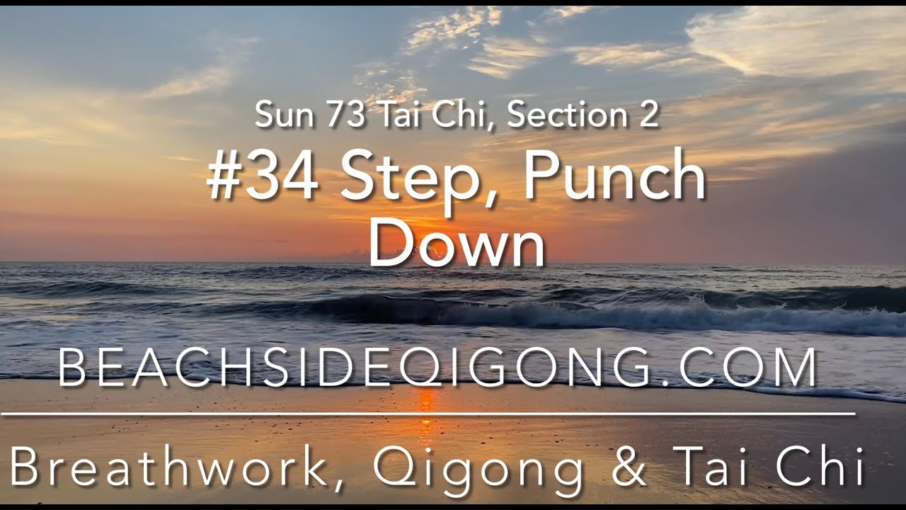 Sun 73 Tai Chi Section 2, move 34:  Step, Punch Down   learn taichi