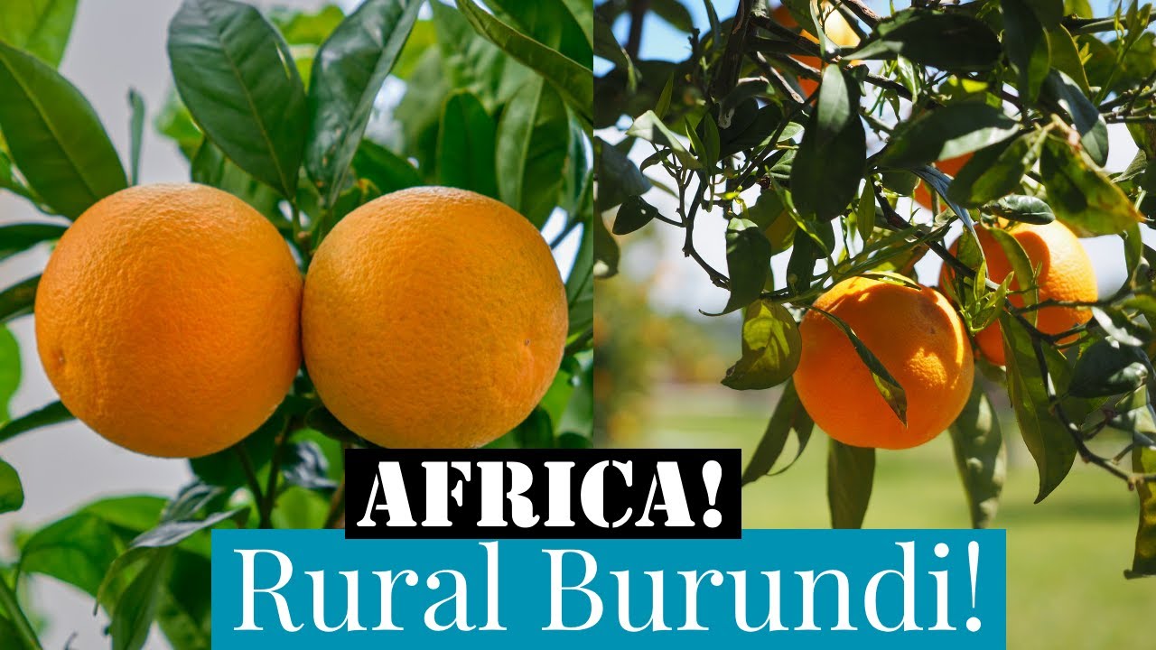 Bujumbura Down Town to Countryside Vlog #02 | Rural Burundi Africa | Burundi 2020 | Full HD