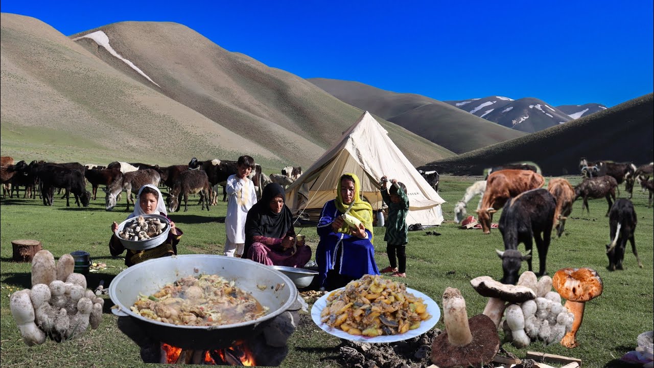 Survival Skill in Afghanistan Mountains | Finding Natural Mushrooms and Cooking Village Style Food