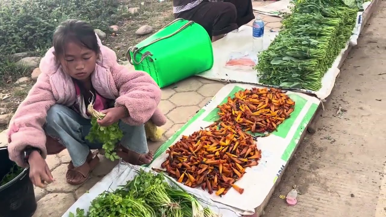 #मिनी लाओ मार्केट #खूबसूरत नज़ारा #शांत शहर #ज़ायसोम्बोउन #लाओस #लाओस की यात्रा #लाओ का स्थानीय खाना