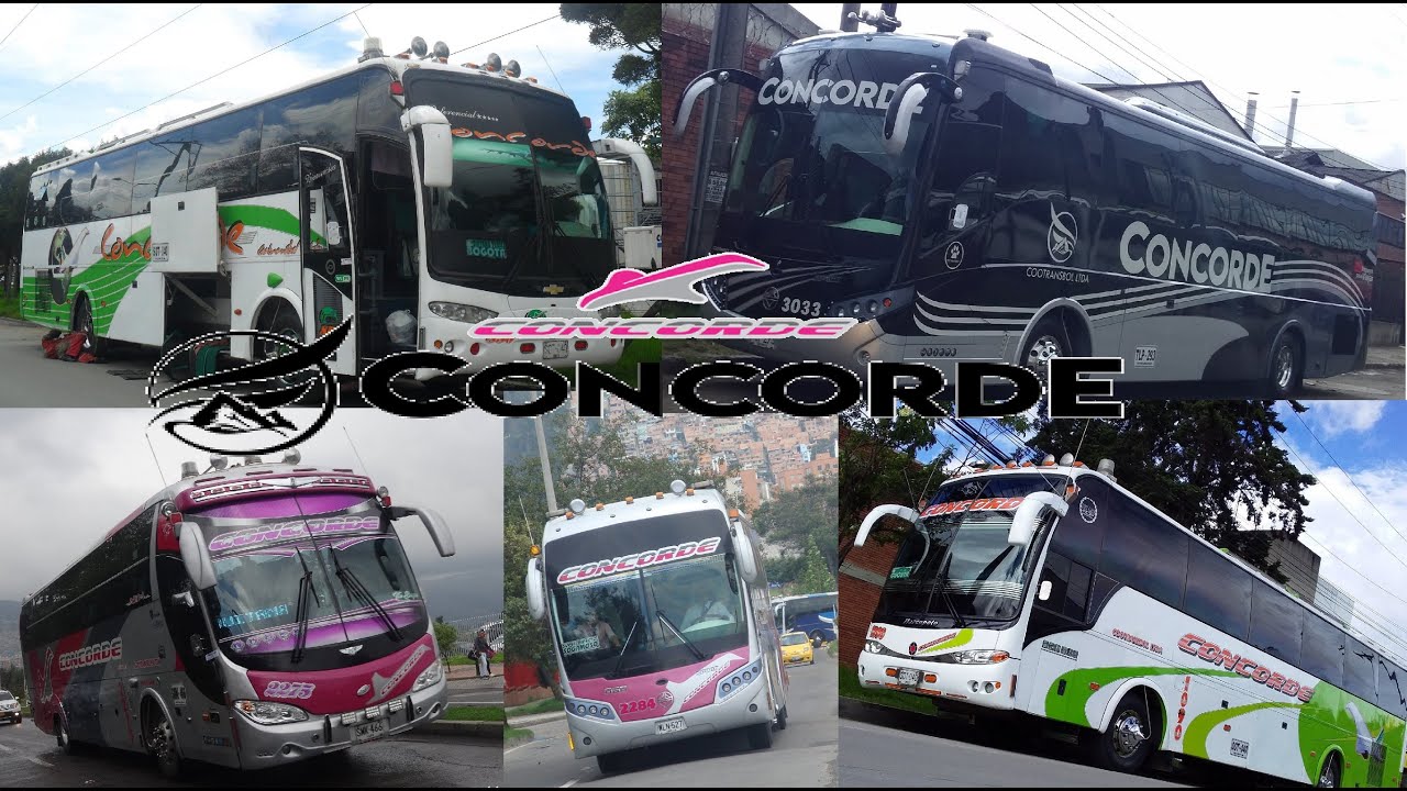 COOTRANSBOL LINEAS CONCORDE Fotografías