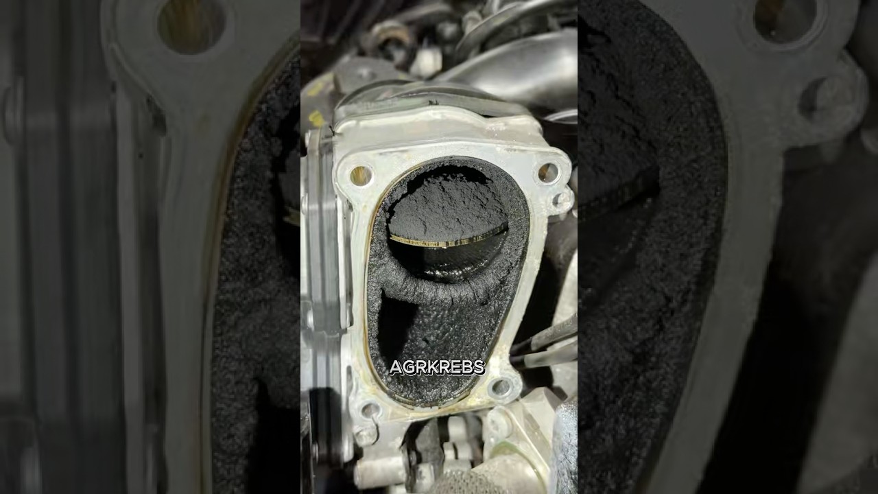 V6 TDI AGR PROBLEME ☠️ #audi #mechanic #werkstatt #automobile #repair