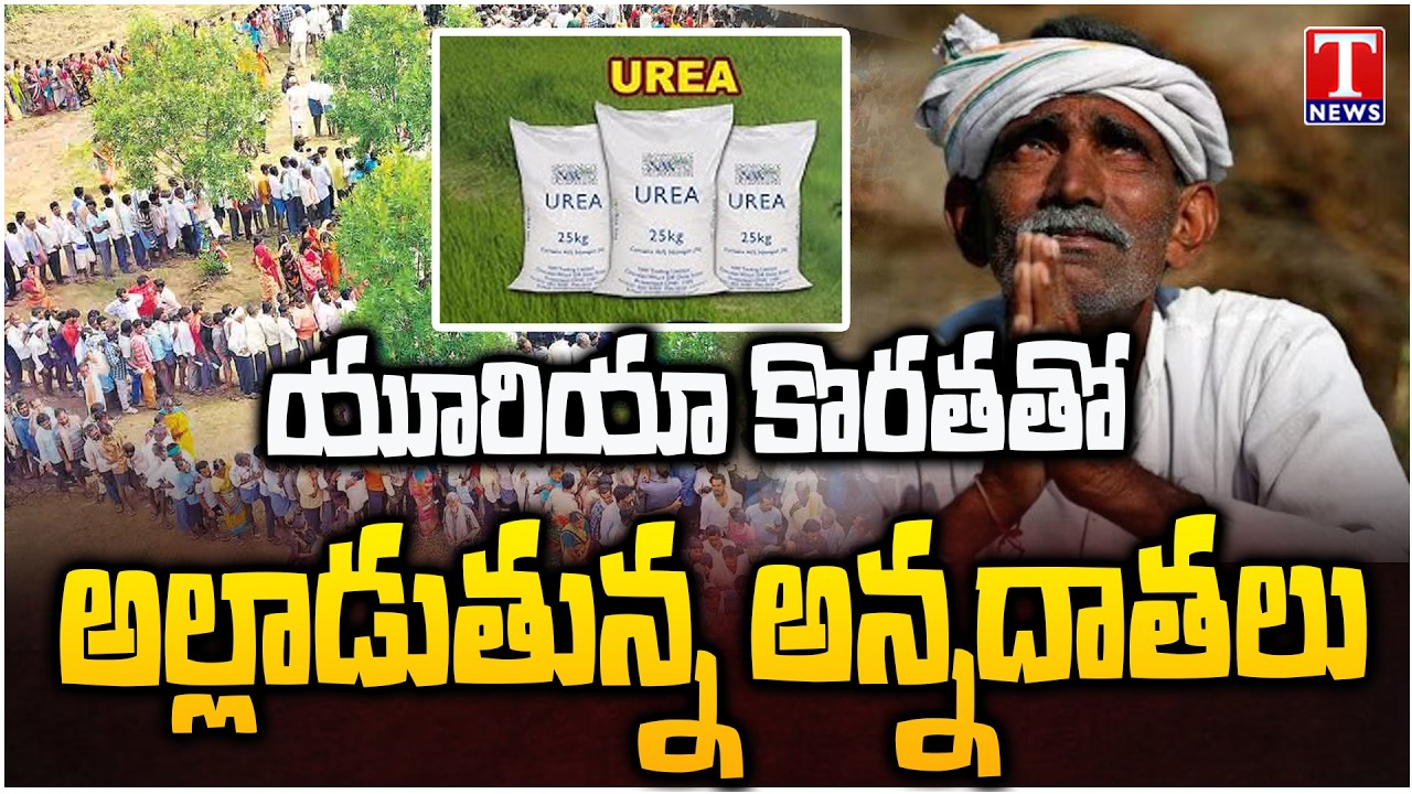 Farmers Struggling With Urea Shortage, Fires On Congress Govt Over Booking in App | T News