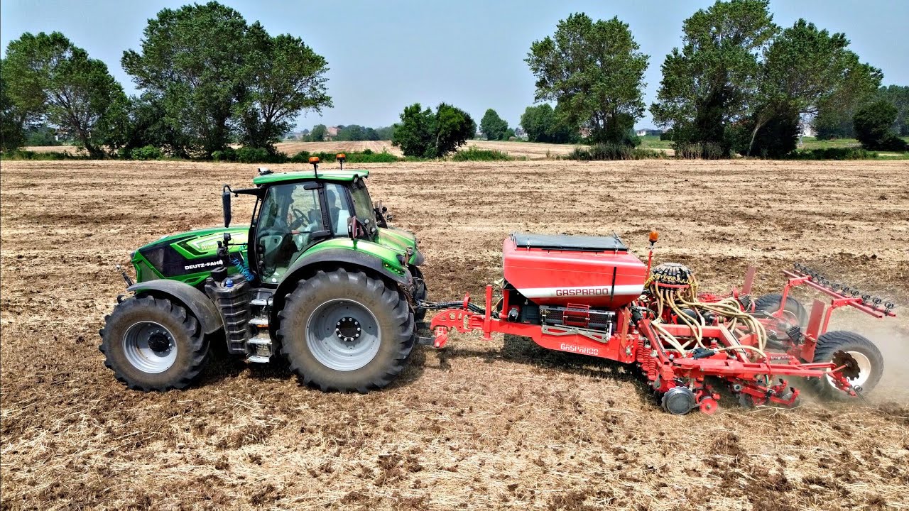 SORGO E SOIA: GIOIE E DOLORI DI 2° RACCOLTO
